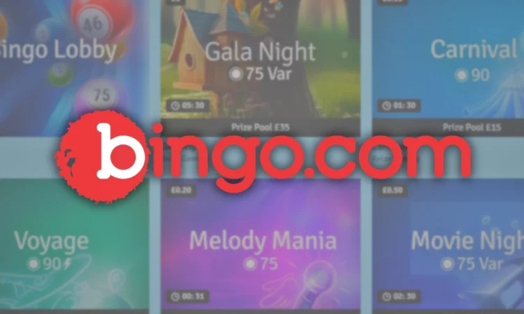 Bingo recensioni ed opinioni online